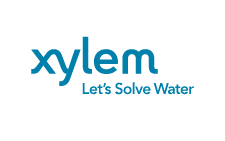 xylem